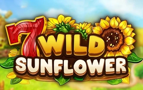 Wild SunFlower